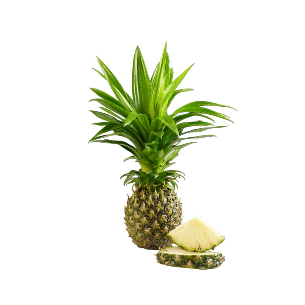 Raw Pineapples