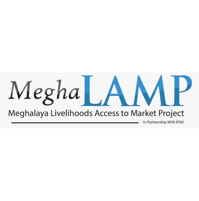 megha lamp